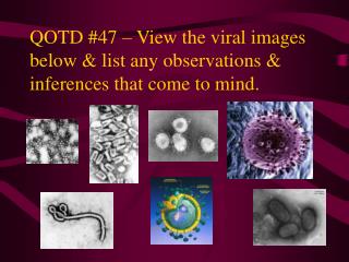 QOTD #47 – View the viral images below &amp; list any observations &amp; inferences that come to mind.