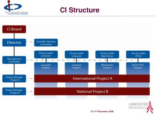 CI Structure