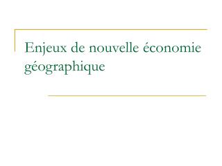 Enjeux de nouvelle économie géographique