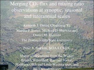 Merging CO 2 flux and mixing ratio observations at synoptic, seasonal and interannual scales