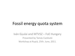 Fossil energy quota system