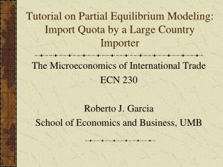 Tutorial on Partial Equilibrium Modeling: Import Quota by a Large Country Importer