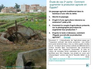 Étude de cas 2 e partie : Comment augmenter la production agricole en Égypte?
