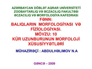 FƏNN: BALIQLARIN MORFOLOGİYASI VƏ FİZİOLOGİYASI. MÖVZU: 10