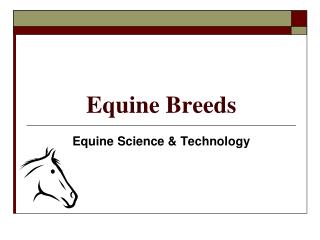 Equine Breeds