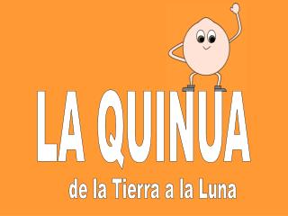 LA QUINUA