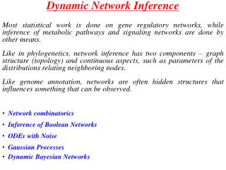 Dynamic Network Inference