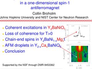 Impurities and finite temperature effects in a one-dimensional spin-1 antiferromagnet