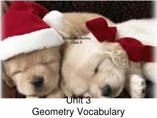 Unit 3 Geometry Vocabulary