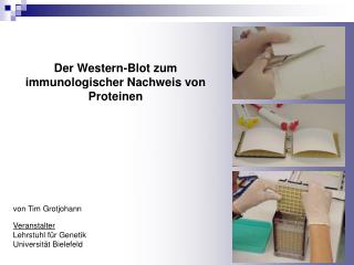 Der Western-Blot zum immunologischer Nachweis von Proteinen