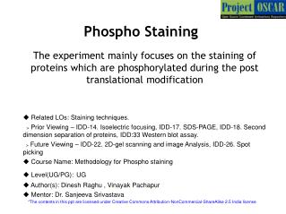 Phospho Staining