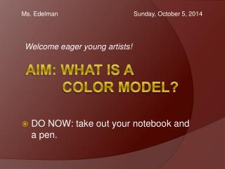 AIM: what is a color model?