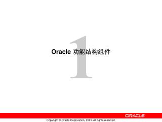 Oracle 功能结构组件