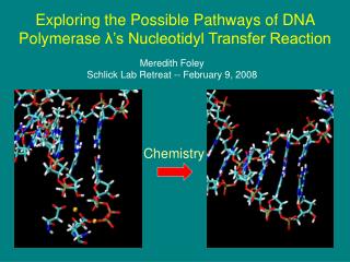 Exploring the Possible Pathways of DNA Polymerase λ ’s Nucleotidyl Transfer Reaction