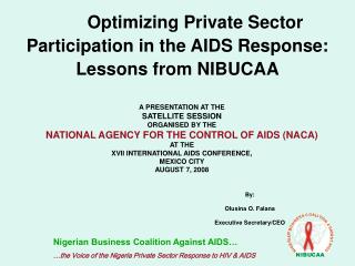 Optimizing Private Sector Participation in the AIDS Response: Lessons from NIBUCAA