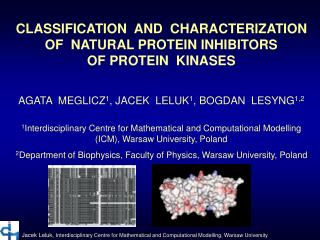 CLASSIFICATION AND CHARACTERIZATION OF NATURAL PROTEIN INHIBITORS OF PROTEIN KINASES