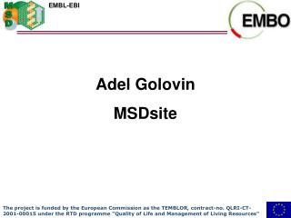 Adel Golovin MSDsite