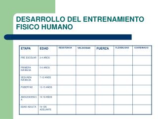 DESARROLLO DEL ENTRENAMIENTO FISICO HUMANO