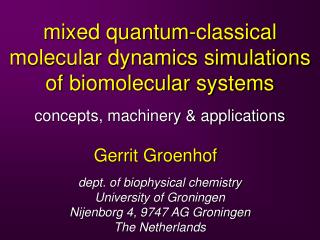 mixed quantum-classical molecular dynamics simulations of biomolecular systems