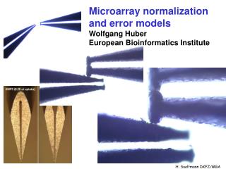 Microarray normalization and error models Wolfgang Huber European Bioinformatics Institute
