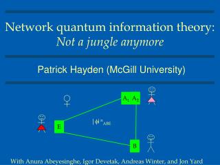 Network quantum information theory: Not a jungle anymore