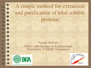 A simple method for extraction and purification of total soluble proteins