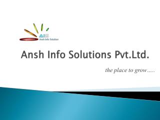Ansh Info Solutions Pvt.Ltd .