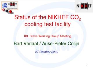 Status of the NIKHEF CO 2 cooling test facility IBL Stave Working Group Meeting