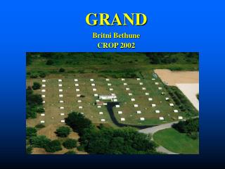 GRAND Britni Bethune CROP 2002