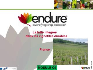 La lutte intégrée dans les vignobles durables France