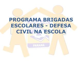 PROGRAMA BRIGADAS ESCOLARES - DEFESA CIVIL NA ESCOLA