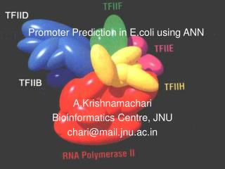 Promoter Prediction in E.coli using ANN