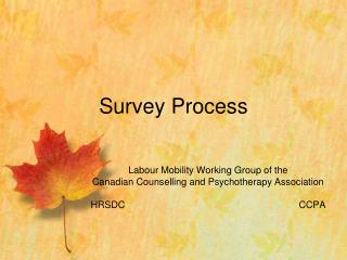 Survey Process