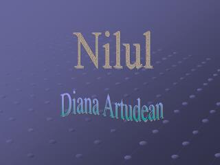 Nilul