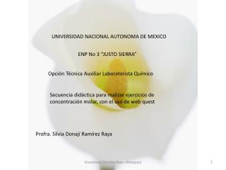 UNIVERSIDAD NACIONAL AUTONOMA DE MEXICO