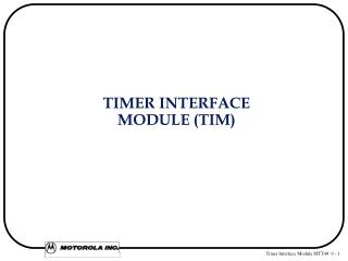 TIMER INTERFACE MODULE (TIM)