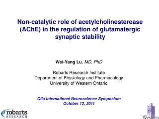 Wei-Yang Lu , MD, PhD Robarts Research Institute Department of Physiology and Pharmacology