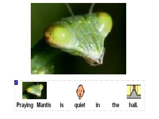 Praying Mantis is quiet in the hall.