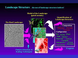 Why Quantify Landscape Pattern?