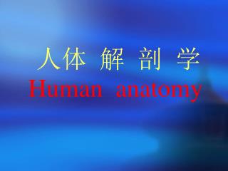 人体 解 剖 学 Human anatomy