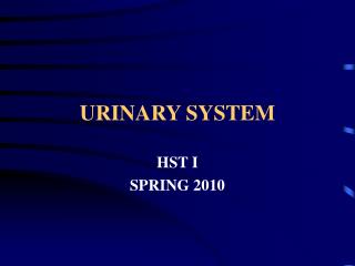 URINARY SYSTEM