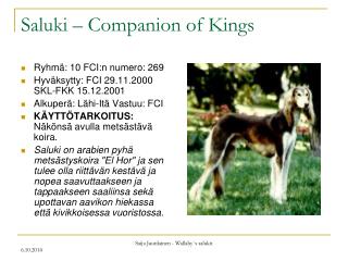Saluki – Companion of Kings