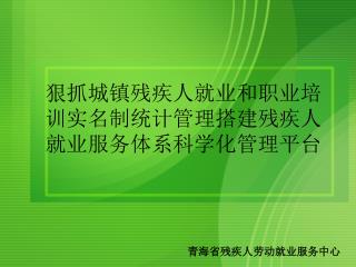 狠抓城镇残疾人就业和职业培训 实 名制统计管理搭建残疾人就业服务体系科学化管理平台