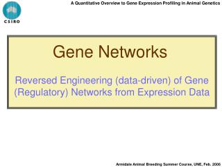 A Quantitative Overview to Gene Expression Profiling in Animal Genetics