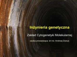 Inżynieria genetyczna Zakład Cytogenetyki Molekularnej osoba prowadząca: dr inż. Andrzej Dybus