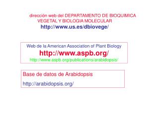 dirección web del DEPARTAMENTO DE BIOQUIMICA VEGETAL Y BIOLOGIA MOLECULAR