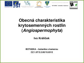 Obecná charakteristika krytosemenných rostlin ( Angiospermophyta )