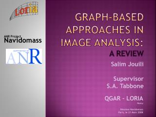 Graph-based approaches in image analysis: a review