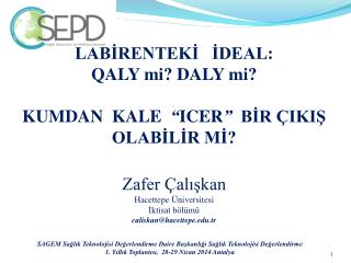 LABİRENTEKİ İDEAL: QALY mi? DALY mi? KUMDAN KALE “ ICER ” BİR ÇIKIŞ OLABİLİR Mİ?