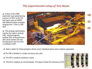 The experimental setup of Test Beam